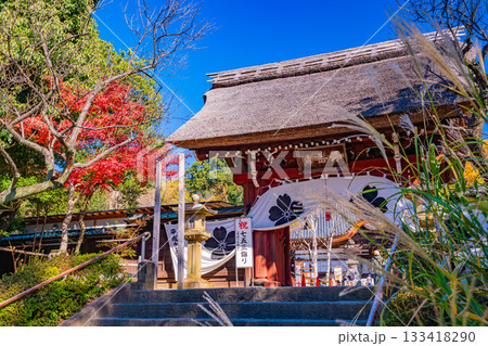【東京都】紅葉最盛期の深大寺 薬医門 【東京都】紅葉最盛期の深大寺 薬医門 133418290