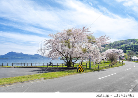 浮見堂公園駐車場の桜、有珠山、洞爺湖 洞爺湖町 浮見堂公園駐車場の桜、有珠山、洞爺湖 洞爺湖町 133418463