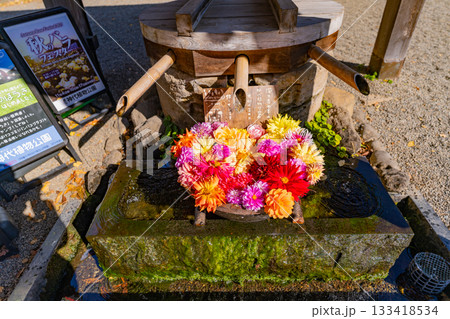 【東京都】秋の深大寺　閼伽堂（手水舎）・花飾り 133418534