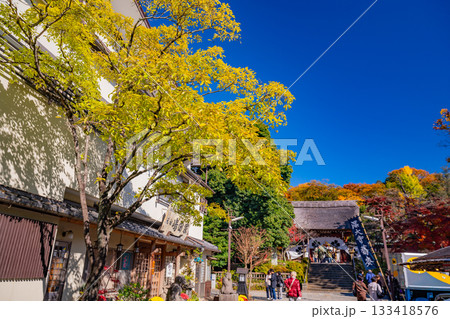 【東京都】参拝者で賑わう、深大寺参道　秋　 133418576