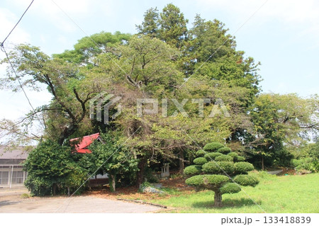 下砥上愛宕塚古墳 133418839