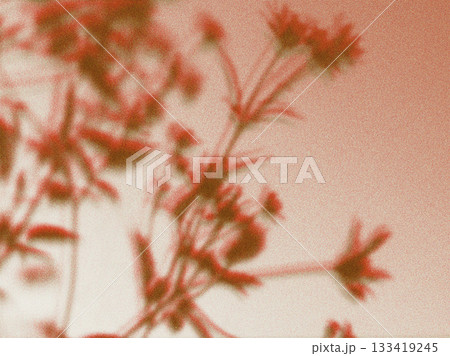 Abstract floral shadow against a soft peach background. Artistic composition featuring the blurred silhouette of flowers. Autumnal flowers theme. 133419245