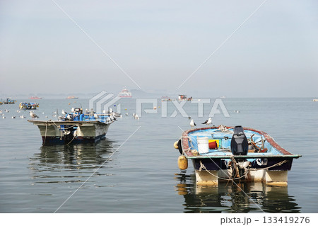 Seagulls Resting on Small Fishing Boats Floating Calmly on Quiet Coastal Waters at Peaceful Harbor Seagulls Resting on Small Fishing Boats Floating Calmly on Quiet Coastal Waters at Peaceful Harbor 133419276