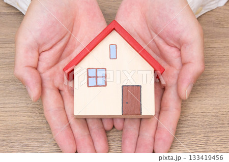 手のひらに住宅の模型 133419456