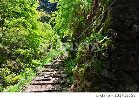 施福寺参道 133419555