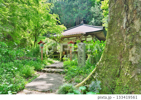 施福寺参道 133419561