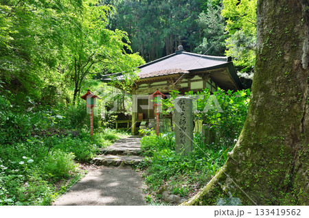 施福寺参道 133419562