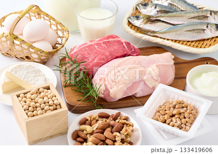 様々なタンパク質食材 様々なタンパク質食材 133419606