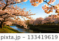 川と満開の桜のある風景 133419619