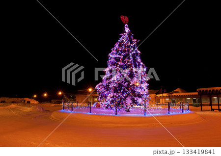 赤いハートが付いたツリーイルミネーション 赤いハートが付いたツリーイルミネーション 133419841