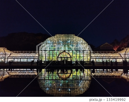 ライトアップされた東山植物園の温室(愛知：名古屋) 133419992
