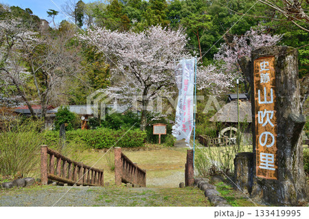 桜の季節 史跡 山吹の里歴史公園 越生町 桜の季節 史跡 山吹の里歴史公園 越生町 133419995