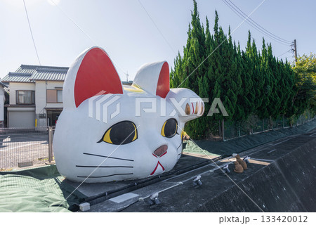 常滑の見守り猫　とこにゃん 133420012