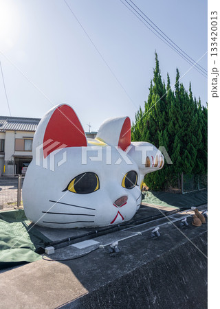 【縦写真】常滑の見守り猫　とこにゃん 133420013