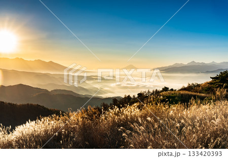 夜明けの高ボッチ高原から諏訪湖の雲海と遠くにそびえる富士山 133420393