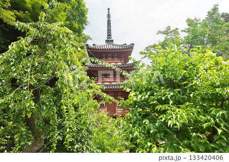 三室戸寺 133420406