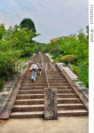 三室戸寺 三室戸寺 133420411