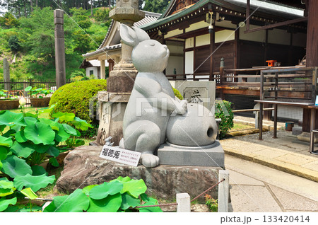 三室戸寺 三室戸寺 133420414