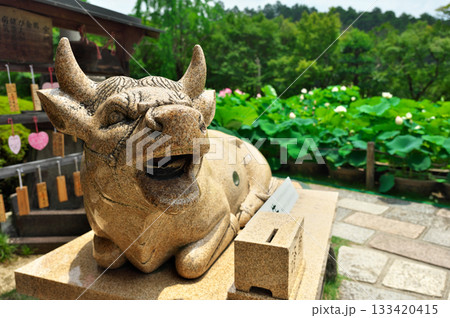 三室戸寺 三室戸寺 133420415