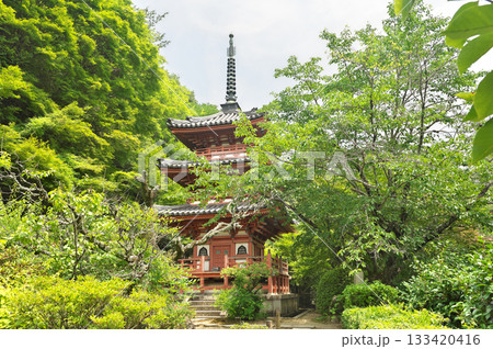 三室戸寺 三室戸寺 133420416