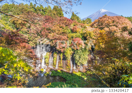葉に彩られた富士宮市の白糸の滝 133420417