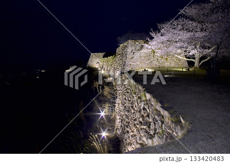 竹田城跡の夜桜 竹田城跡の夜桜 133420483