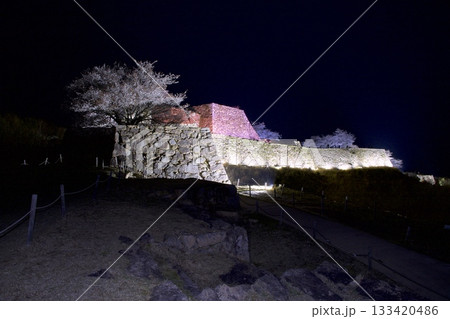 竹田城跡の夜桜 竹田城跡の夜桜 133420486