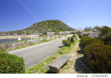 北山貯水池の桜と新緑の甲山 北山貯水池の桜と新緑の甲山 133420492