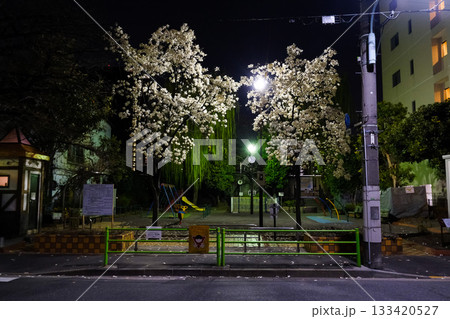 月島三丁目 再開発予定地 夜景(2022年3月) 月島三丁目 再開発予定地 夜景(2022年3月) 133420527