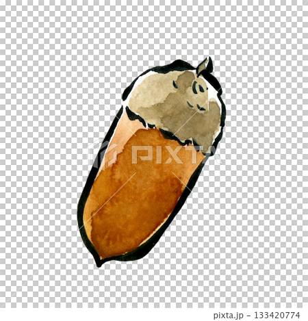 Acorns drawn with a brush pen and transparent watercolor Acorns drawn with a brush pen and transparent watercolor 133420774
