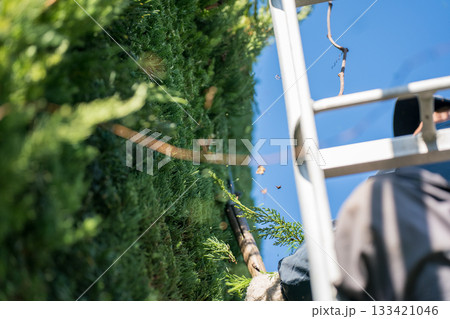 Japanese Gardener Japanese Gardener 133421046