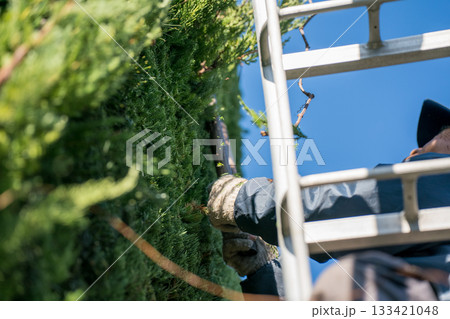 Japanese Gardener 133421048