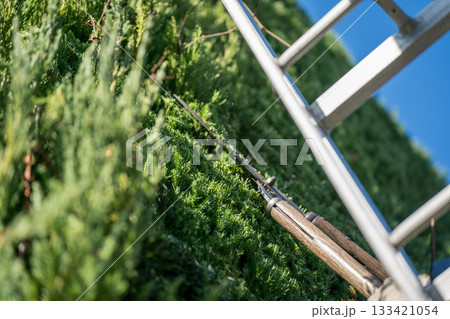 Japanese Gardener 133421054