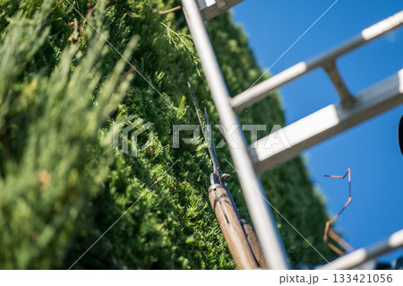 Japanese Gardener 133421056