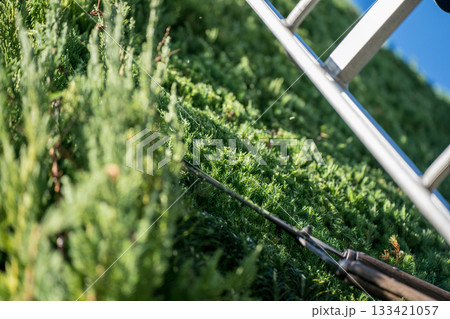 Japanese Gardener 133421057