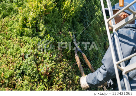Japanese Gardener Japanese Gardener 133421065