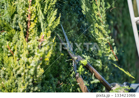 Japanese Gardener 133421066