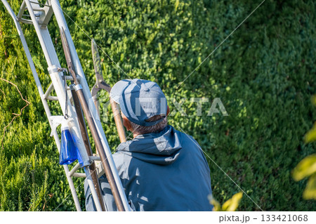 Japanese Gardener 133421068