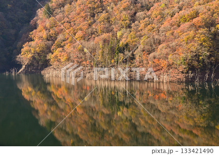 紅葉した山 紅葉した山 133421490