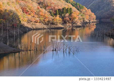紅葉した山と湖 紅葉した山と湖 133421497