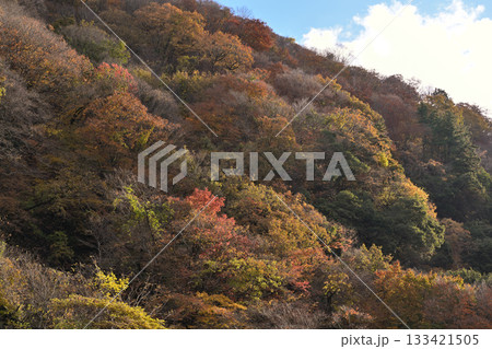 紅葉した山 紅葉した山 133421505