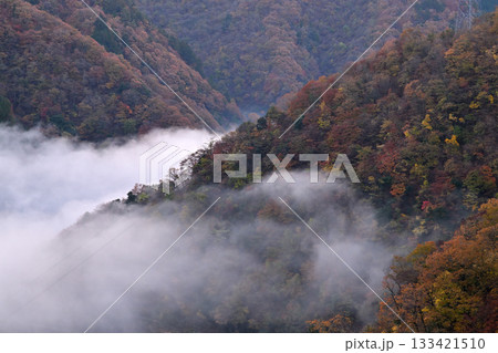 霧に包まれた紅葉の山間 霧に包まれた紅葉の山間 133421510