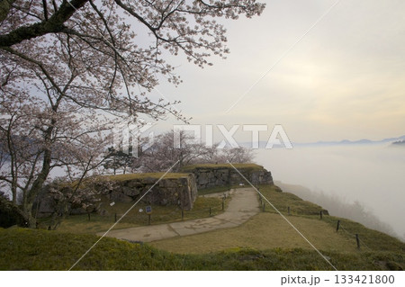 竹田城跡より朝日を浴びる雲海と桜を眺望 竹田城跡より朝日を浴びる雲海と桜を眺望 133421800