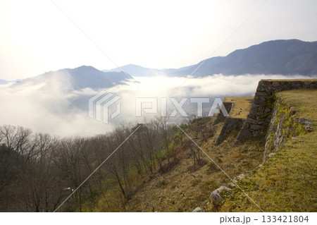 竹田城跡より朝日を浴びる雲海と桜を眺望 133421804