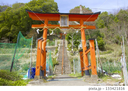 竹田城跡の登城口に鎮座する「吉光稲荷大明神」の赤鳥居 133421816
