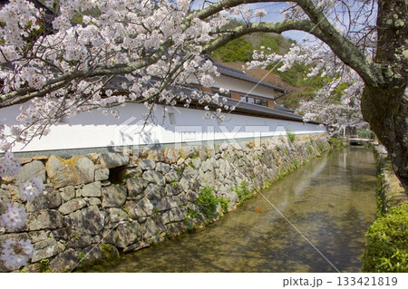 竹田城跡麓の城下町風景/水路のある寺町通り 133421819