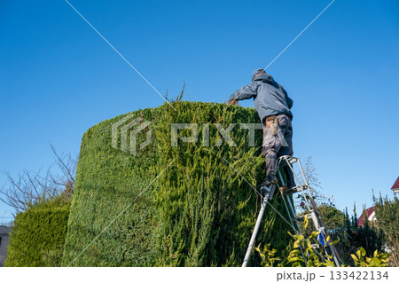 Japanese Gardener 133422134