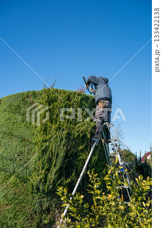Japanese Gardener 133422138