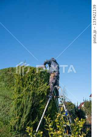 Japanese Gardener 133422139