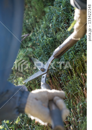 Japanese Gardener 133422148